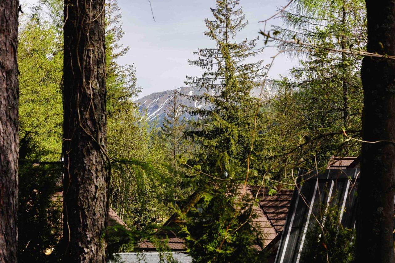 Apartamenty Chata Pod Reglami Zakopane Exterior photo