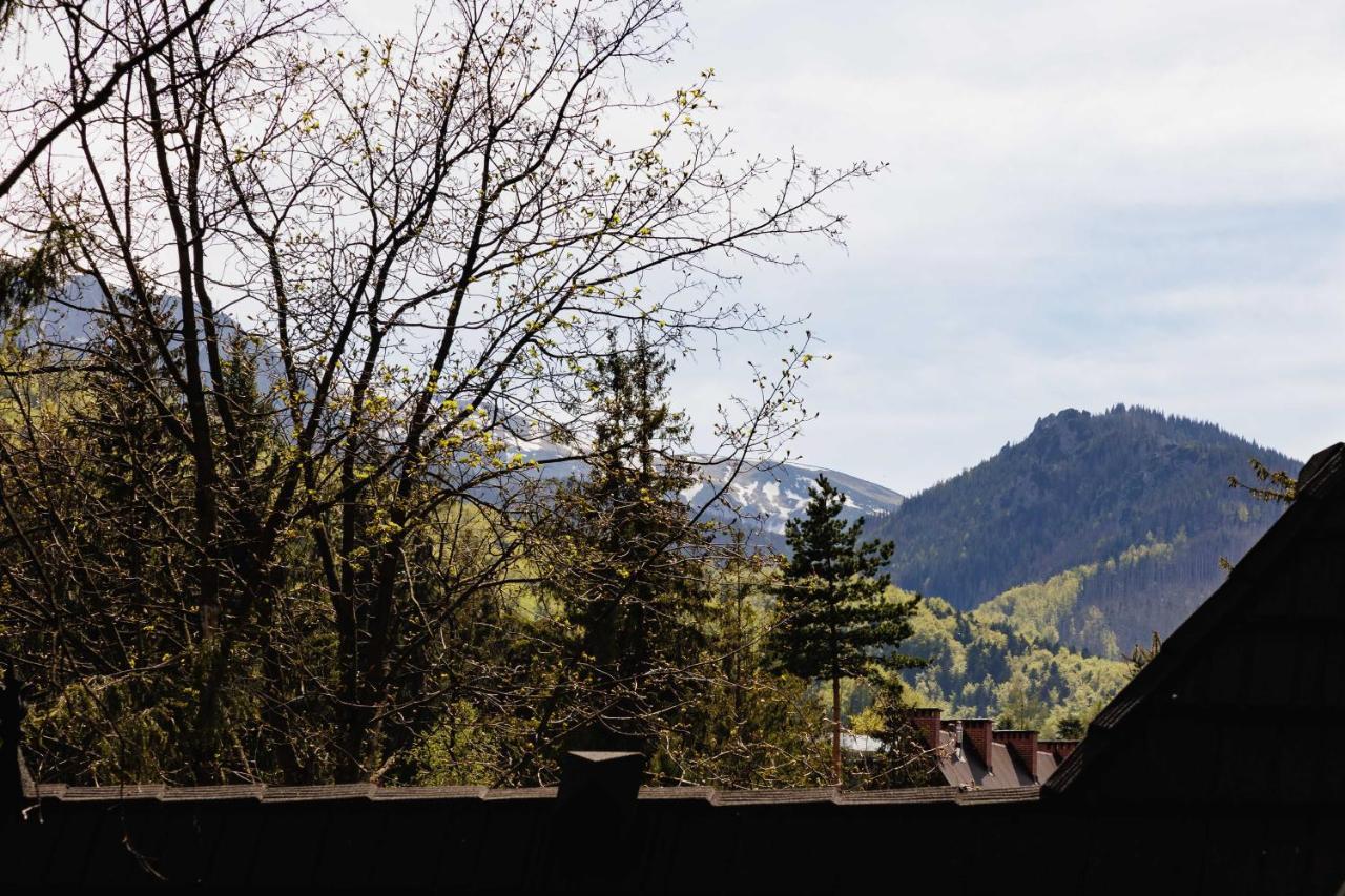 Apartamenty Chata Pod Reglami Zakopane Exterior photo
