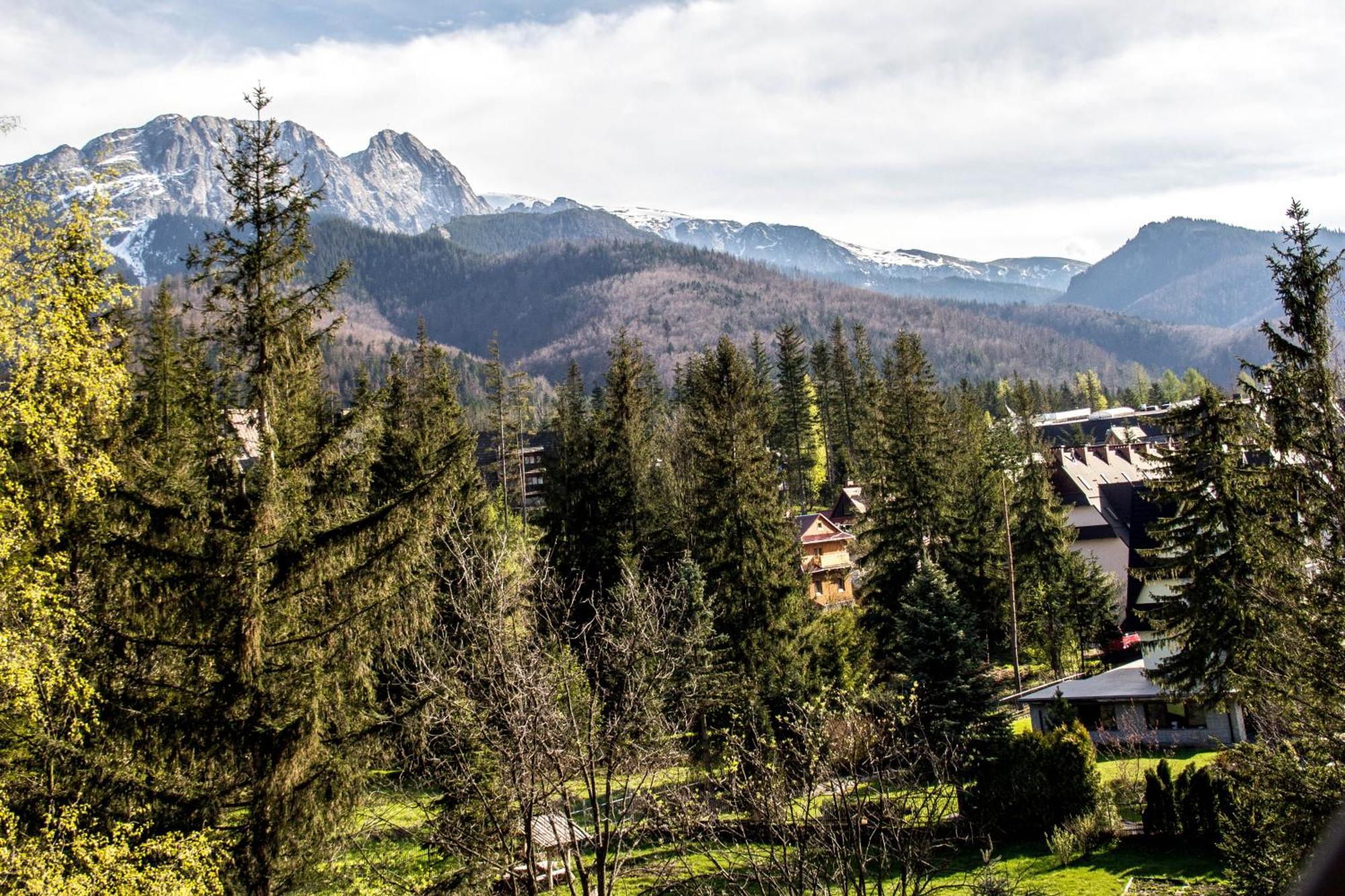 Apartamenty Chata Pod Reglami Zakopane Room photo